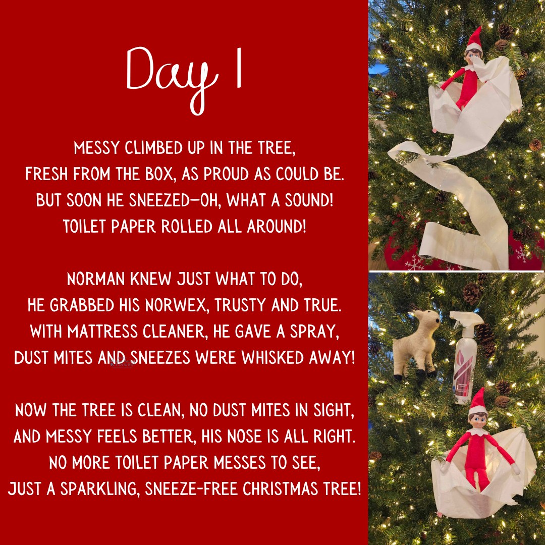 Here's what Messy and Norman got into today! It was officially tree day, as it's the "first day of Christmas" today. Also, Aaron was cleaning the garage and shed, so it made it a no-brainer to bring inside!

Don't forget to spray your Christmas trees and boxed up "soft" decorations with Mattress Cleaner this season! It will eat up all that left-behind organic matter and get rid of your dust mites. No dust mites, no dust mite 💩, urine or dead bodies to make you sneeze! 

👩‍🏫 How does Mattress Cleaner work? 
🔬 It contains probiotics that produce enzymes to break down organic material, helping reduce non-living matter and allergens like dust mite debris, pet dander and other particles dust mites feed on. Basically, science is cool! 

🥘 What all does dust mite dinner include? 
☠️ dead skin cells from humans and animals
🌼 pollen
🍄 fungal spores
🌫️ mold
🪶 feathers
🐾 animal dander

#elfontheshelf #elfontheshelfideas #elfontheshelf2024 #norwex #norwexelfontheshelf #norwexelf #norwexnorman #mattresscleaner #christmastree #dustmites #allergies #seasonalallergies #pets #petdander #cleangreenwithallison #christmas #happyholidays